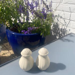 May include: A pair of white ceramic salt and pepper shakers with a bulbous body and a rounded top. The salt shaker has small holes on top. The shakers are on a light blue surface, with a blue ceramic pot of purple flowers in the background.