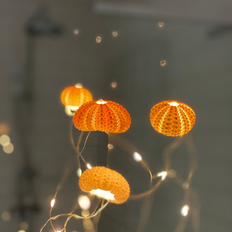 Dopamine decoration, four urchin shells, string lights, bedroom accent, hanging on silver thread with rose quarts crystal beads image 10