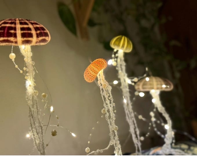 Seeigel Muschel Qualle Lampen, Lichterkette, Romantische Dekoration
