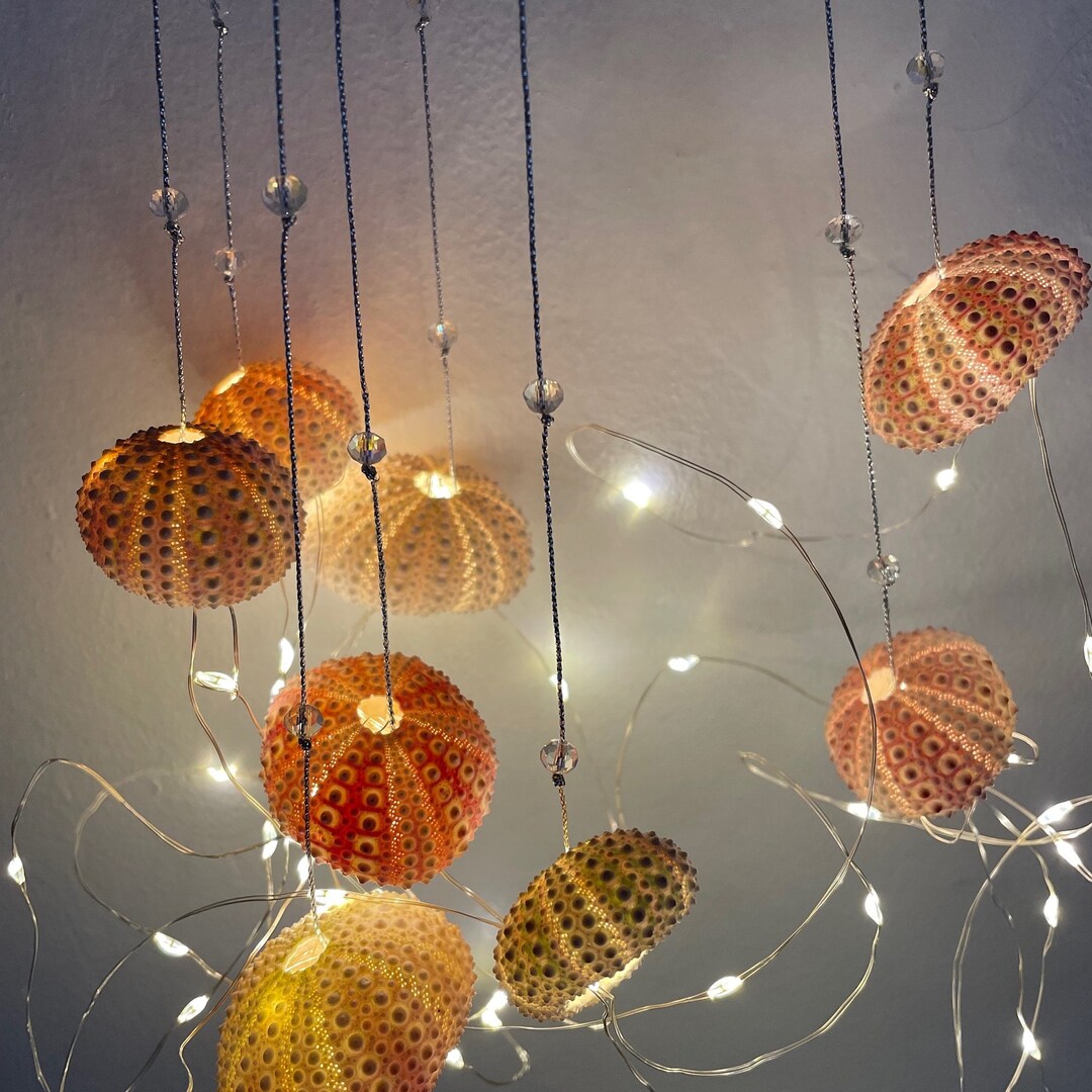 Dopamine Decoration, Four Urchin Shells, String Lights, Bedroom Accent