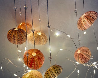 Dopamine decoration, four urchin shells, string lights, bedroom accent, hanging on silver thread with rose quarts crystal beads