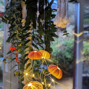 Dopamine decoration, four urchin shells, string lights, bedroom accent, hanging on silver thread with rose quarts crystal beads image 7