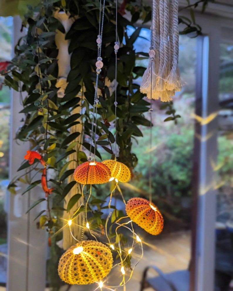 Dopamine decoration, four urchin shells, string lights, bedroom accent, hanging on silver thread with rose quarts crystal beads image 7