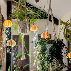 Pode incluir: Uma cena interior acolhedora com plantas suspensas em suportes de macramé, iluminadas por luzes de corda e luzes decorativas em forma de ouriço-do-mar laranja e branco. As plantas estão em vasos brancos e cinzentos.