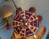 Intricate flat tarten purple sea urchin shell lantern, hanging on coarse rope with 50led fairy lights, alongside two air plants and pots