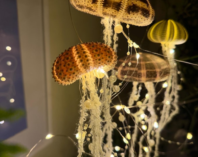 Sea Urchin Jellyfish Lights, Coral & Purple Shells, Battery Operated (50 String)