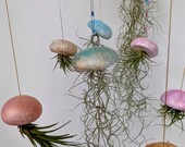 Sea urchin air plant holders, pinks, blues and goldens, with choice of hanging threads, from 3inch to 5 inch made from clay