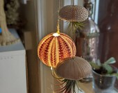 Large purple and white sea urchin shell with lights and two clay sea urchin jellyfish airplants
