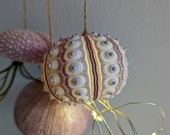Two pink shiny Sea urchin air plant holders with Sputnik urchin jellyfish lights