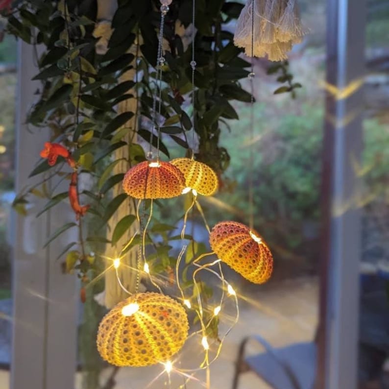 Dopamine decoration, four urchin shells, string lights, bedroom accent, hanging on silver thread with rose quarts crystal beads image 5