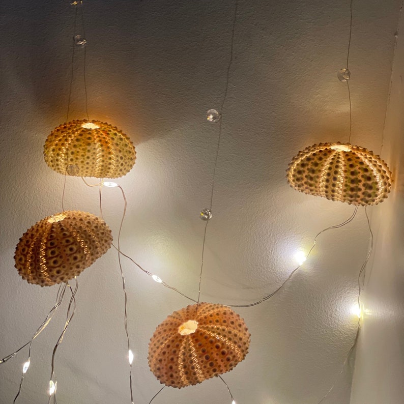 Dopamine decoration, four urchin shells, string lights, bedroom accent, hanging on silver thread with rose quarts crystal beads image 9