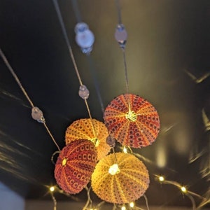 Dopamine decoration, four urchin shells, string lights, bedroom accent, hanging on silver thread with rose quarts crystal beads image 6