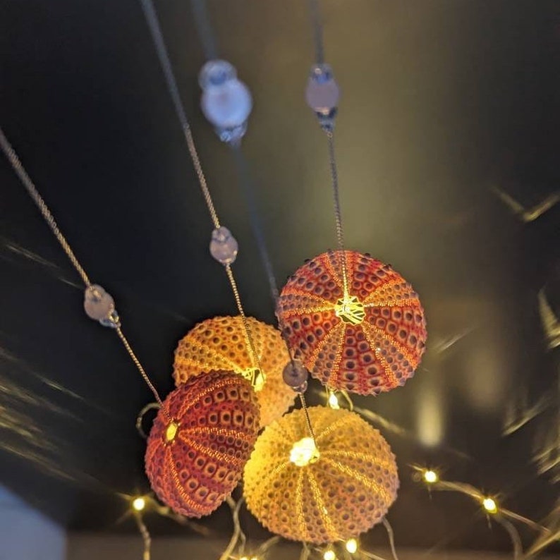 Dopamine decoration, four urchin shells, string lights, bedroom accent, hanging on silver thread with rose quarts crystal beads image 6