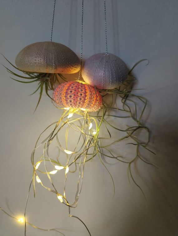Trio of Jellyfish Planters and Lights Two Pots Made From Clay Etsy