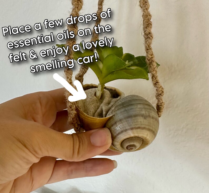 Rear View Mirror Faux Plant Hanger - Nautical Decor, Coastal Living ...