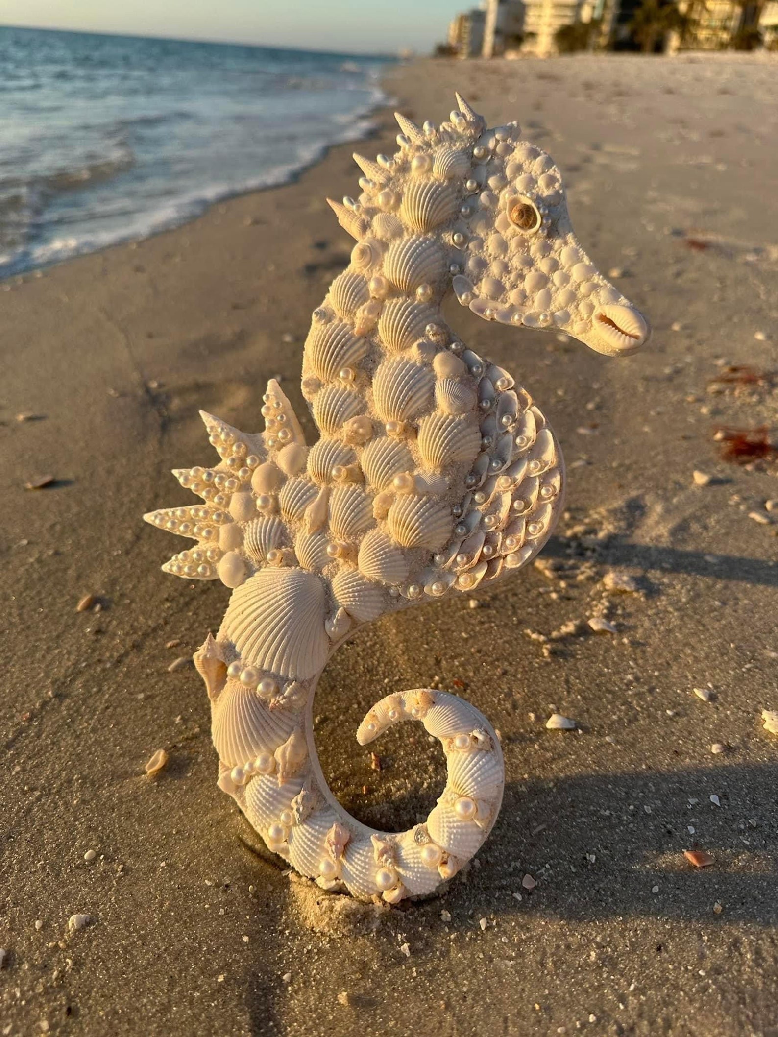 Seashell Seahorse Coastal Decor, Beach Wedding, Shell Art, Seashell