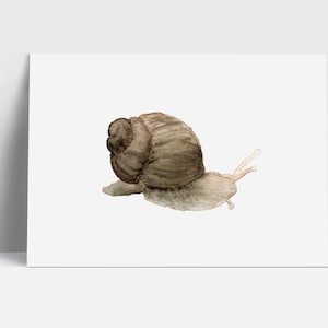 Postkarte "Schnecke" | Grußkarte | Postkarte | Aquarell
