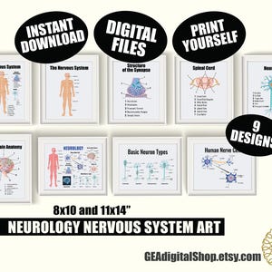 Neurology Medical Art BUNDLE, Nervous System Medical Posters, Neurologist Office Wall Art, Nervous System Anatomy Medical Poster Digital