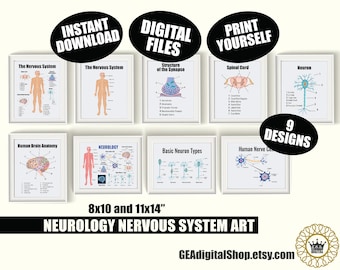 Neurology Medical Art BUNDLE, Nervous System Medical Posters, Neurologist Office Wall Art, Nervous System Anatomy Medical Poster Digital