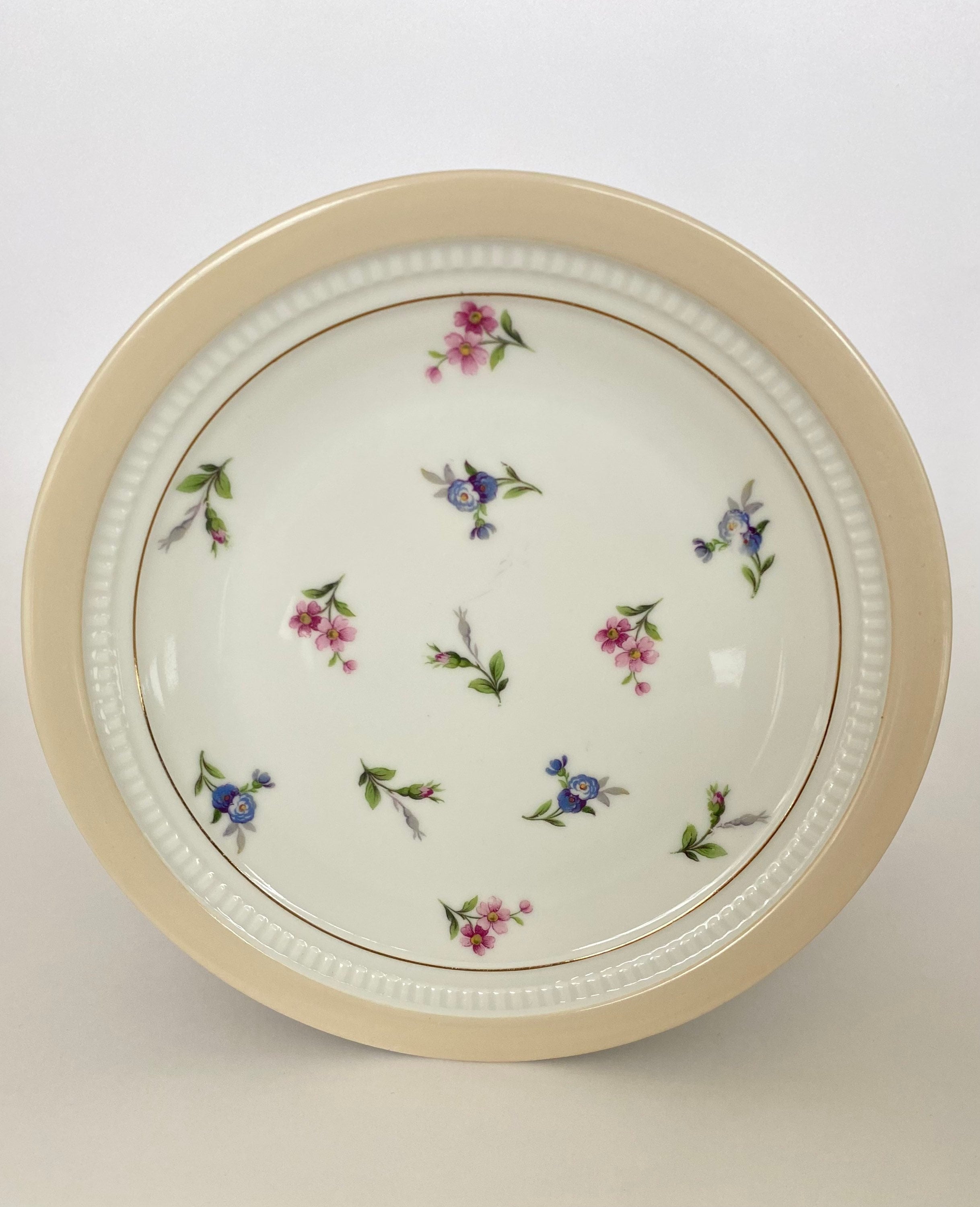 10 Assiettes en Porcelaine de Limoges Chapus et Fils// Assiette Vintage Français// avec Des Motifs F