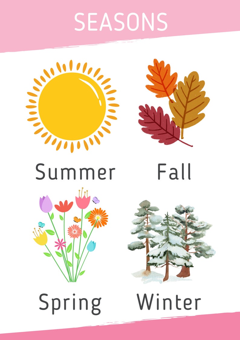 12 Education Learning Posters | Montessori Classroom | Educational Wall ...