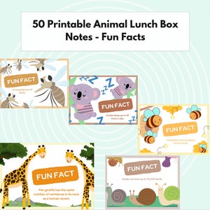 Printable Digital Download | Lunch Box Notes For Kids | Inspirational Cards | Lunch Box Animal Fun Facts | Instant Download | Lunchbox Cards