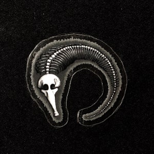 May include: A black and white image of a skeletal seahorse, with a detailed view of the bones and the head.