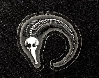 Worm-on-a-string Skelett- klarer Aufkleber