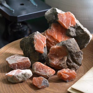 Orange Celestine from Caledon, Ontario image 1