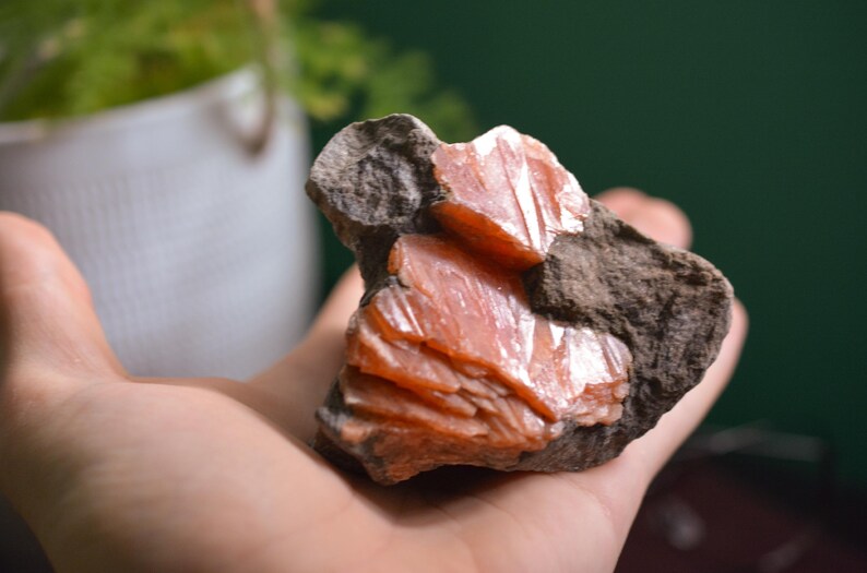 Orange Celestine from Caledon, Ontario image 3