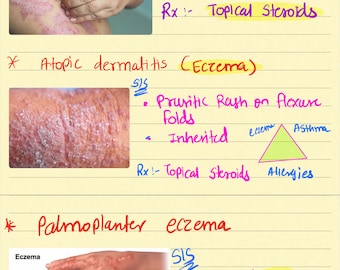 5 guides Bundle for FNP and AGNP Review study-guides- Ent, Skin, Cardiac, Respiratory,  and GI