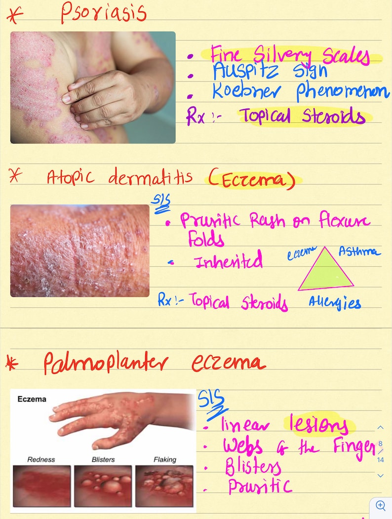 5 Guides Bundle for FNP and AGNP Review Study-guides- Ent, Skin ...