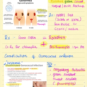 5 study guides FNP and AGNP review Study Guides Musculoskeletal, Mens health and Std, Womens health and pregnancy,Pediatric and Pharmacology