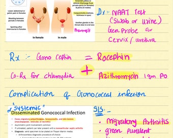 5 study guides FNP and AGNP review Study Guides Musculoskeletal, Mens health and Std, Womens health and pregnancy,Pediatric and Pharmacology