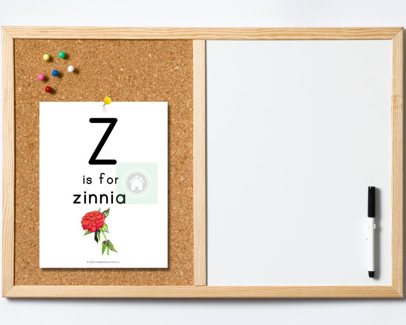 May include: A white card with the letter Z in black, the text "Z is for zinnia" and a red zinnia flower illustration. The card is pinned to a cork board with a yellow pushpin. A white board with a black marker is to the right of the cork board.