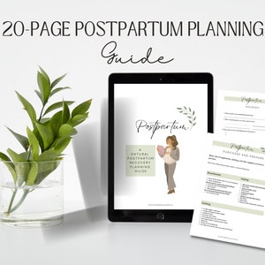 Postpartum Planning Guide  |  Natural Postpartum Recovery Journal
