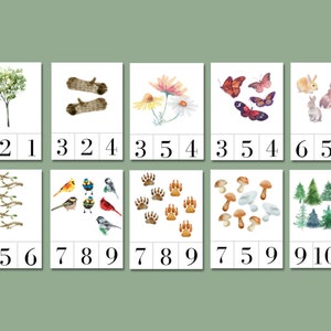 Charlotte Mason Preschool Count et Clip Cards | Cartes de nombre de nature 1-10 | Flashcards mathématiques préscolaires