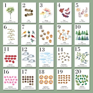 Charlotte Mason Préscolaire Comptage Flashcards | Cartes de nombre de nature 1-20 | Imprimables pour l'école à la maison | Art mural de pépinière