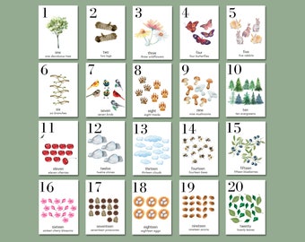 Charlotte Mason Preschool Counting Flashcards | Nature Number Cards 1-20 | Homeschool Printables | Nursery Wall Art