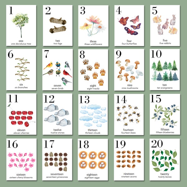 Charlotte Mason Preschool Counting Flashcards | Nature Number Cards 1-20 | Homeschool Printables | Nursery Wall Art