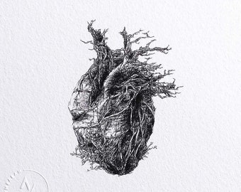 Anatomical Heart, Botanical Drawing Art, Illustration Print