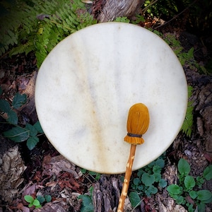 May include: A white drum with a brown wooden stick and a brown suede beater. The drum is sitting on a bed of leaves and branches.