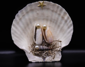Decoración de conchas de vieira del Nacimiento