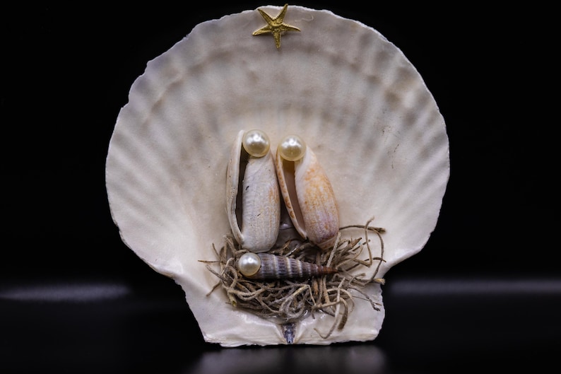 Nativity Scallop Shell Decor - Etsy