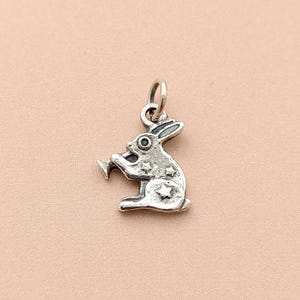 May include: A silver charm featuring a rabbit playing a trumpet. The rabbit has a star design on its body.