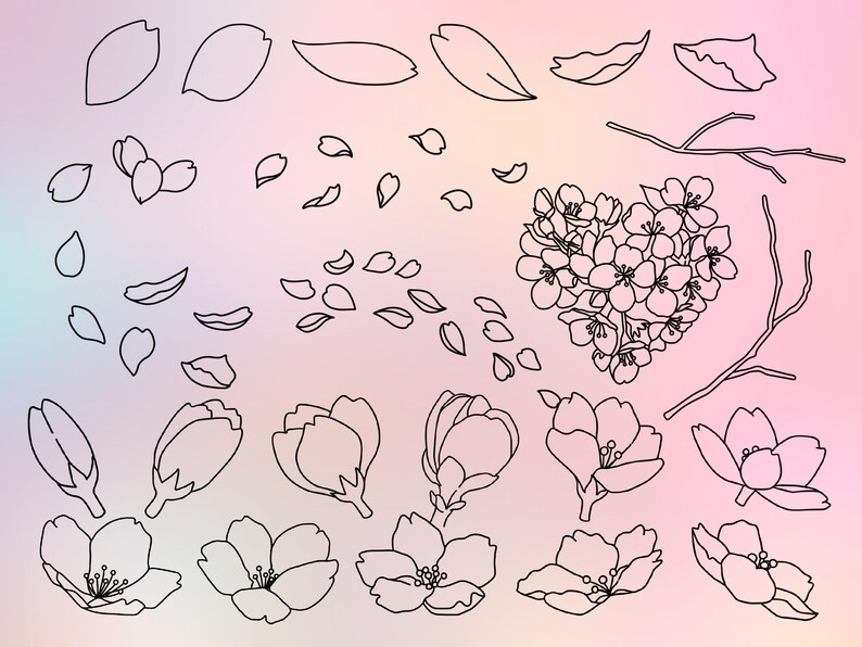 Cherry Blossom Procreate Stamp Brush Set - Etsy