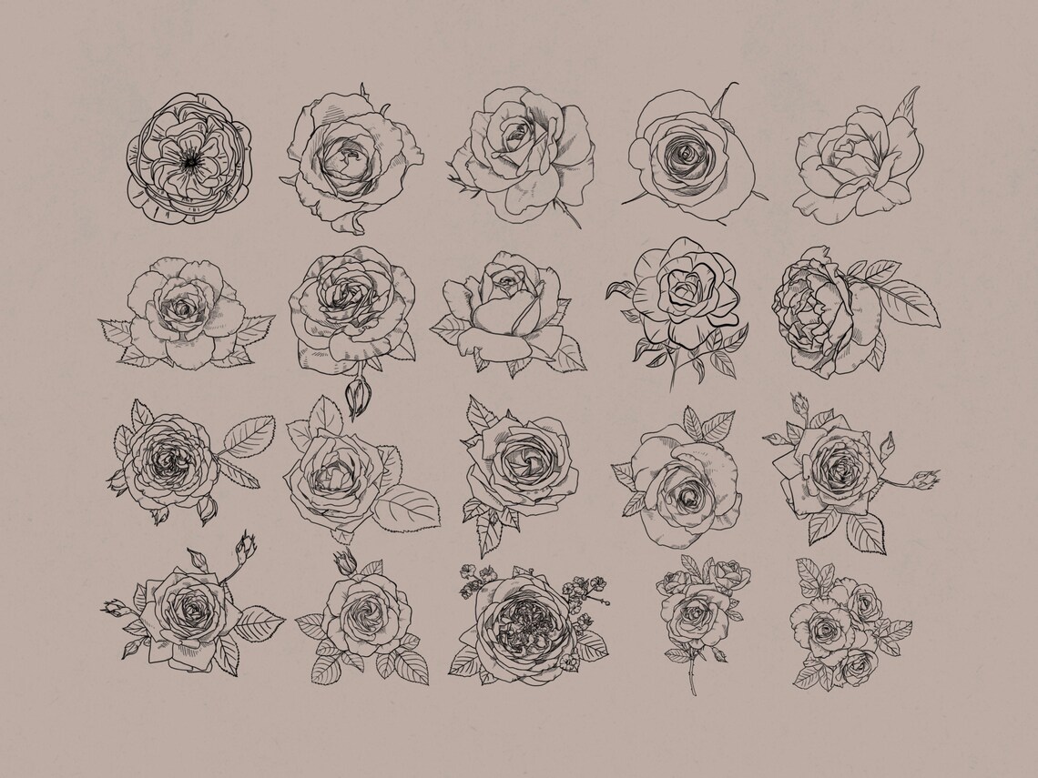 Roses Procreate Stamp Brush Set - Etsy