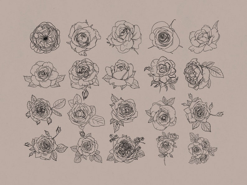 Roses Procreate Stamp Brush Set Etsy