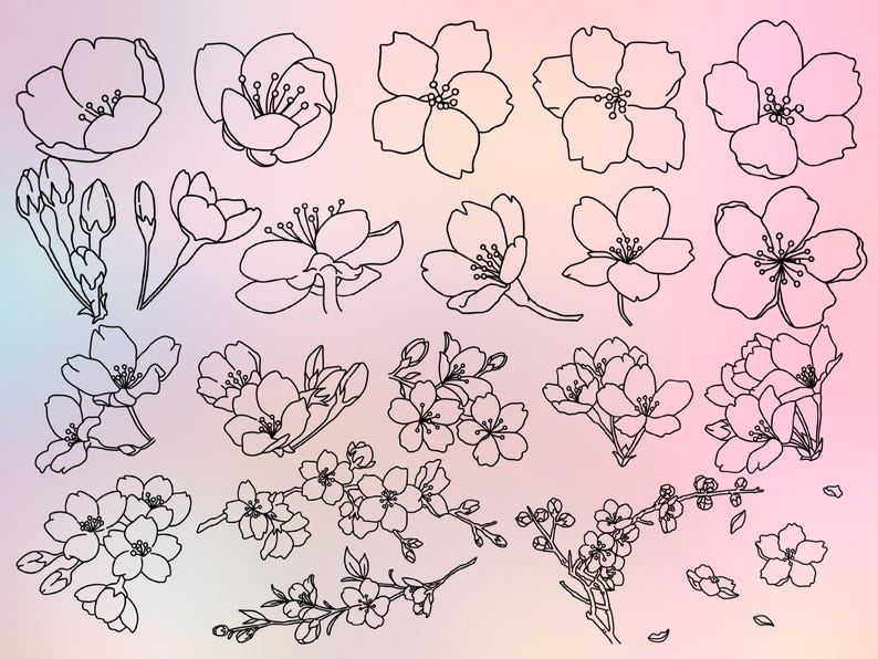 Cherry Blossom Procreate Stamp Brush Set - Etsy