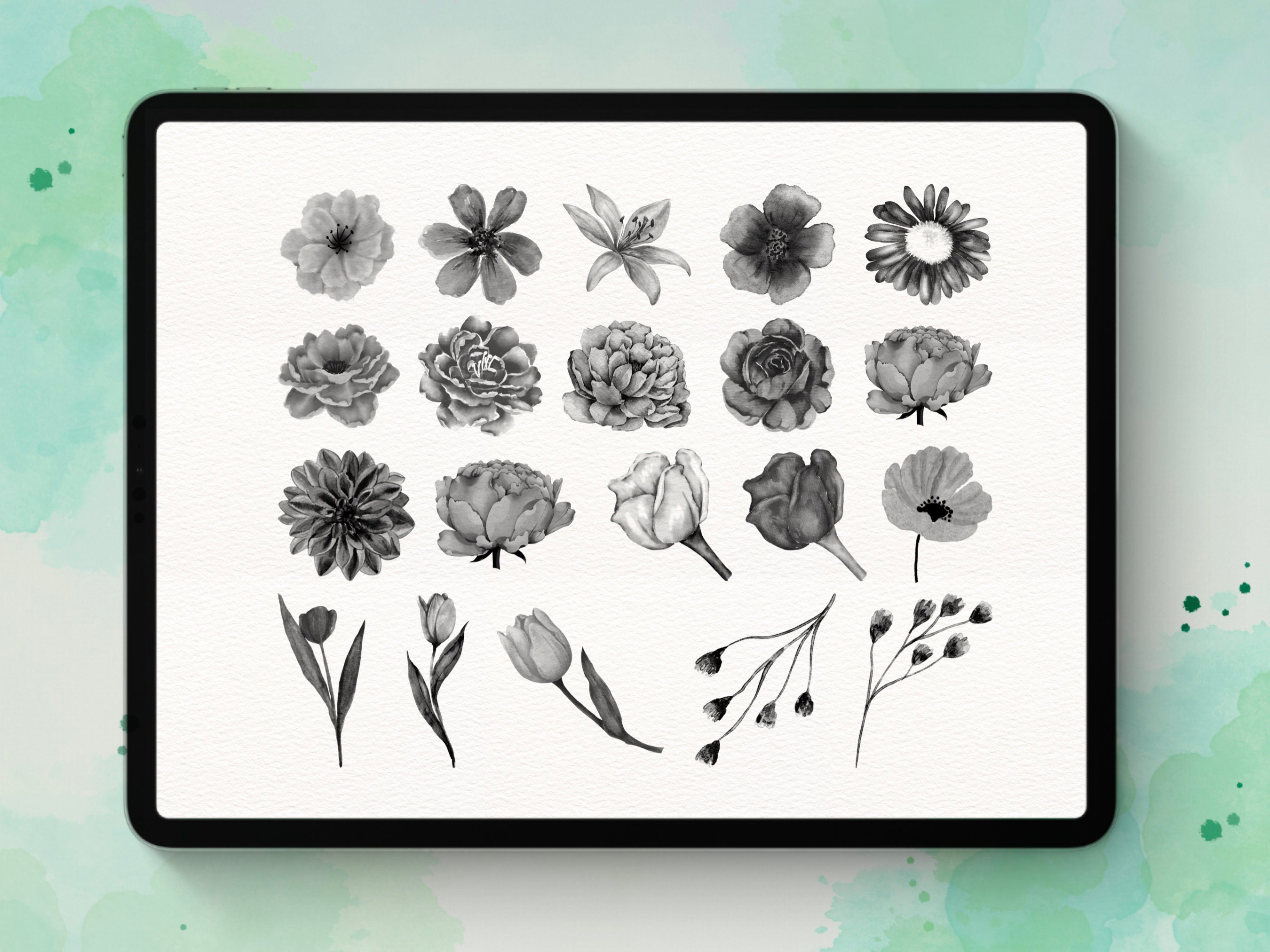 Watercolor Flowers & Leaves Procreate Stamp Brush Set - Etsy